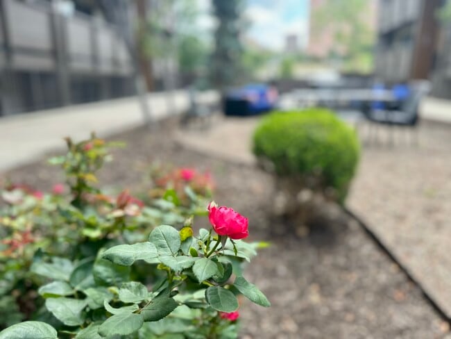 Photo - Lakota on Grand