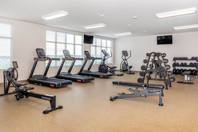 Photo - The Meadowlands