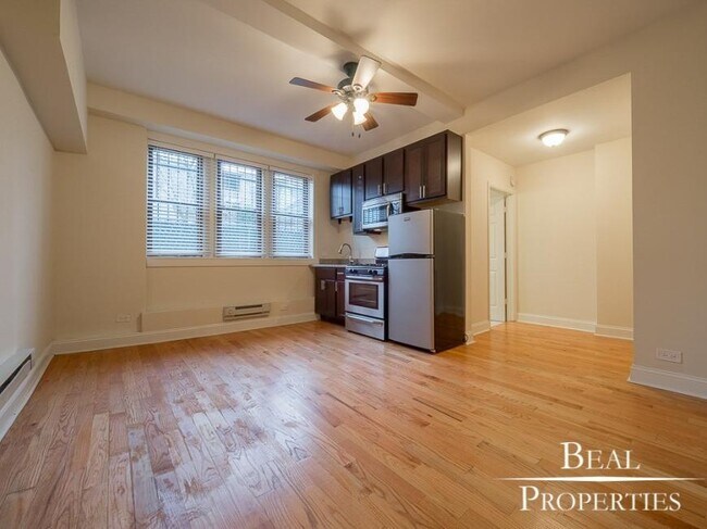 1 bedroom in CHICAGO IL 60640 - 1 bedroom in CHICAGO IL 60640 Condo Unit 209