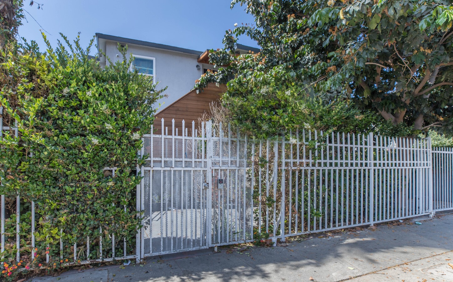 Photo - 1260 W 39th St