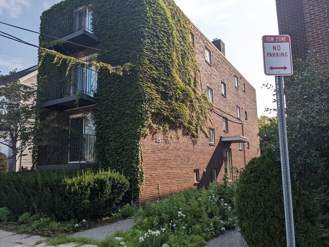 Building Photo - 35 Homer Ave Unit 6