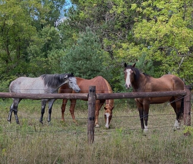 Photo - 864 Crane Hill Trail