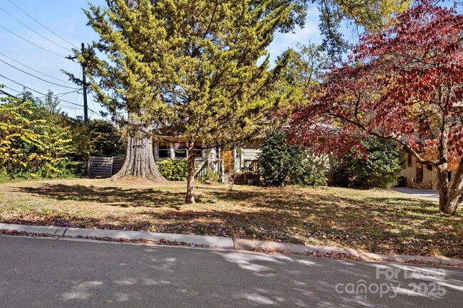 Photo - 2917 Forest Park Dr