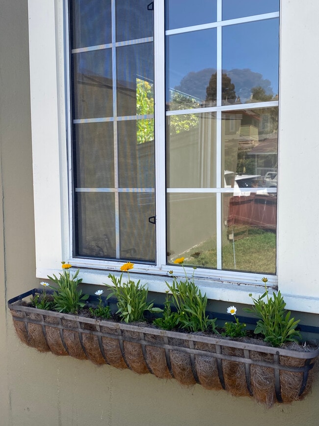 Photo - 2103 Island Ave Unidad #4