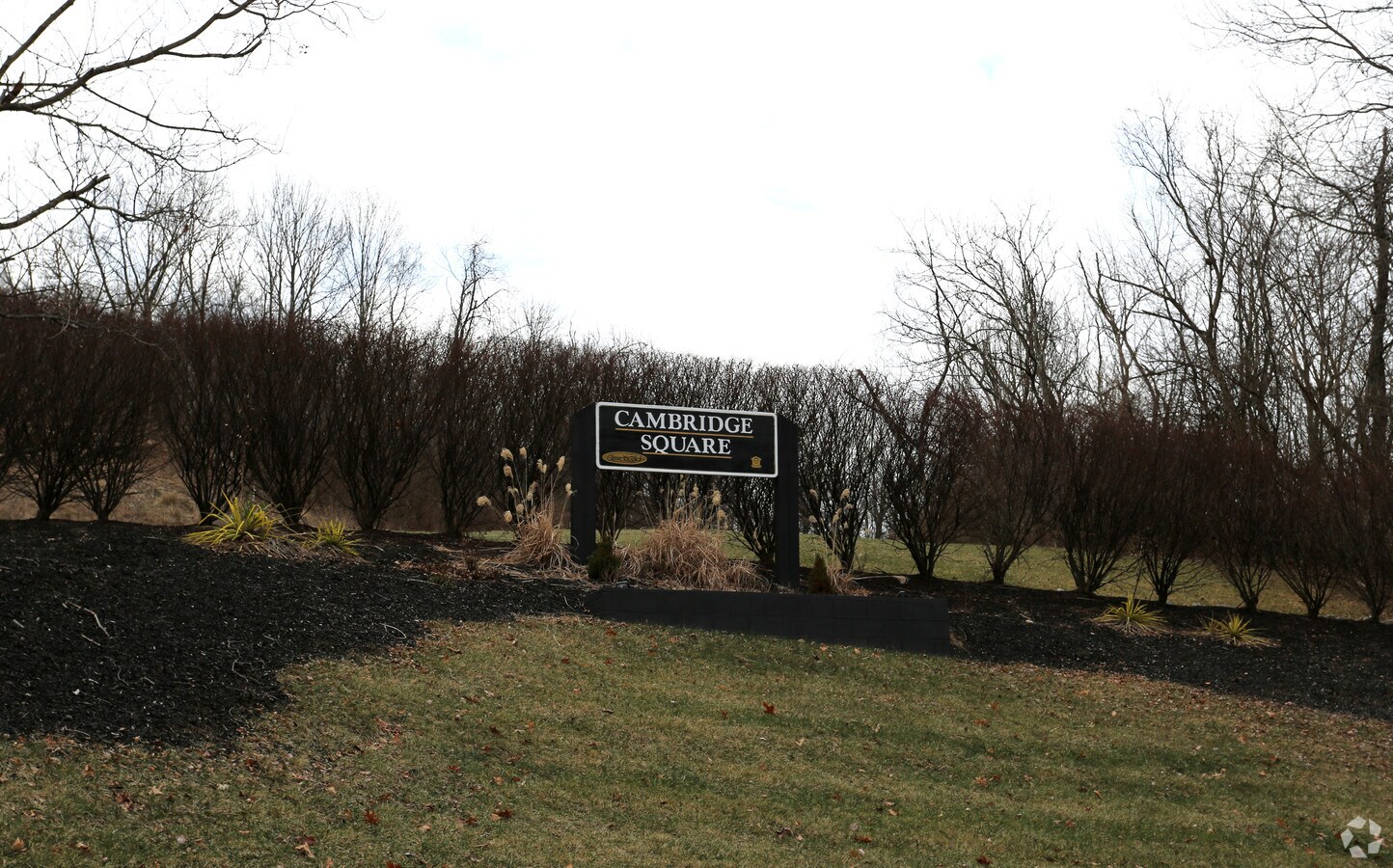 Photo - Cambridge Square