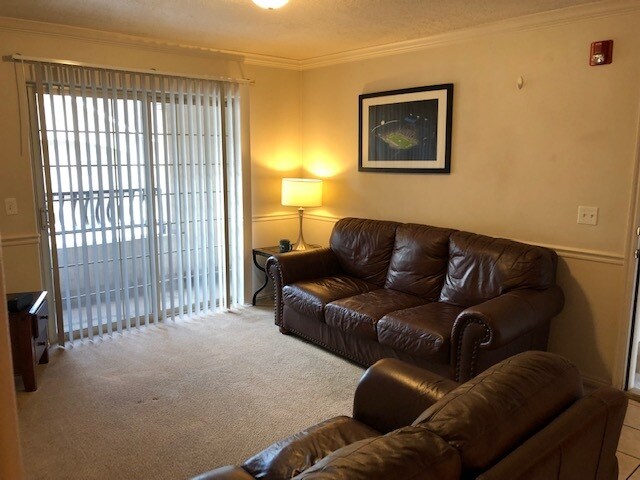 Leather Sofas - 567 N University Ave Unit 211