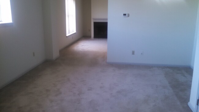 Loft 220 LR/Den/Wood Burning Fireplace - 221 E Mifflin St Apartment Unit 220