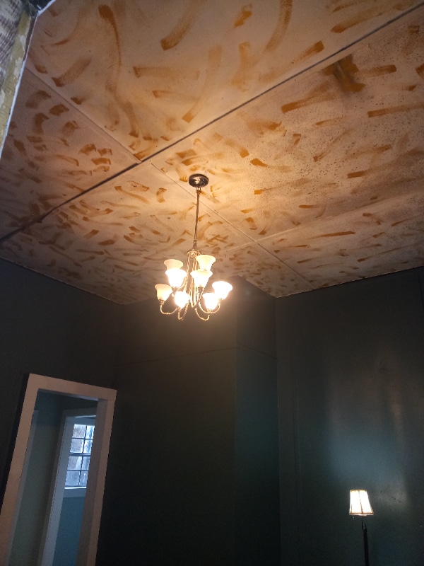 Photo - 408 Voorhies St