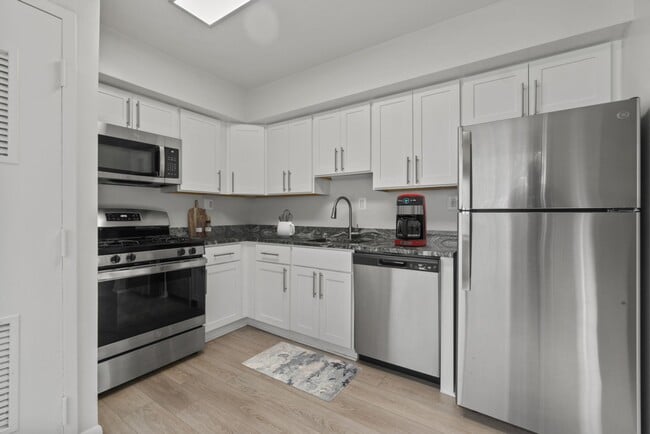 Updated Kitchen with Stainless Steel, Gas Cooking and modern cabinetry - Rollins Park Apartments
