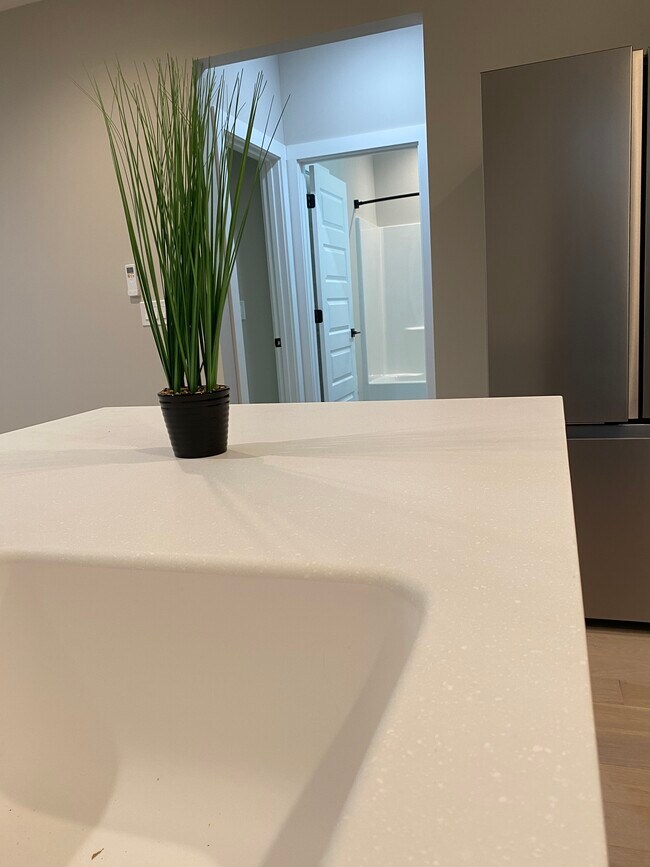 Photo - 58 Albemarle Rd