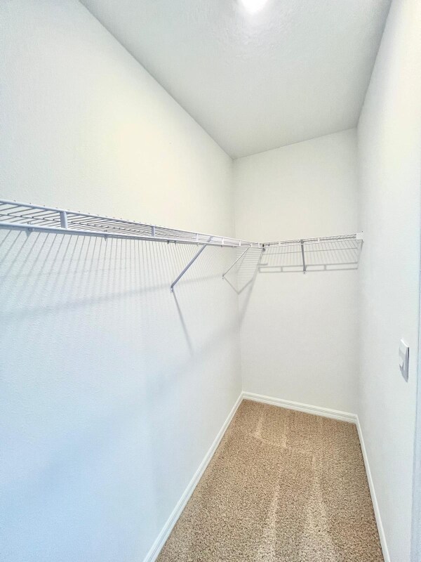 Photo - 32508 Midsummer Night Ln