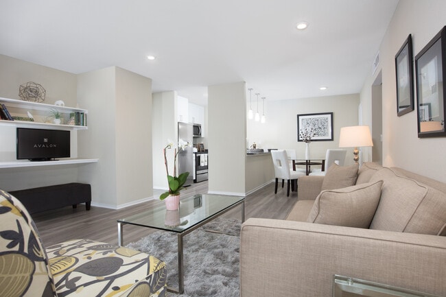 Modern Collection Living Dining Area With Hard Surface Flooring