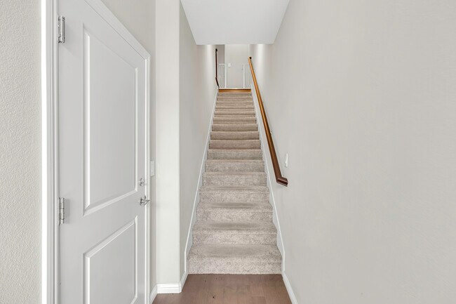 Photo - 37335 Duckling Ter