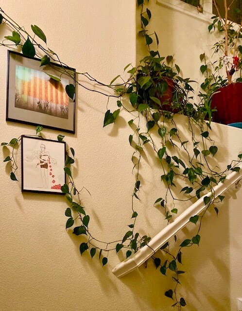 Hallway with space for planst - 7146 NE Martin Luther King Jr Blvd