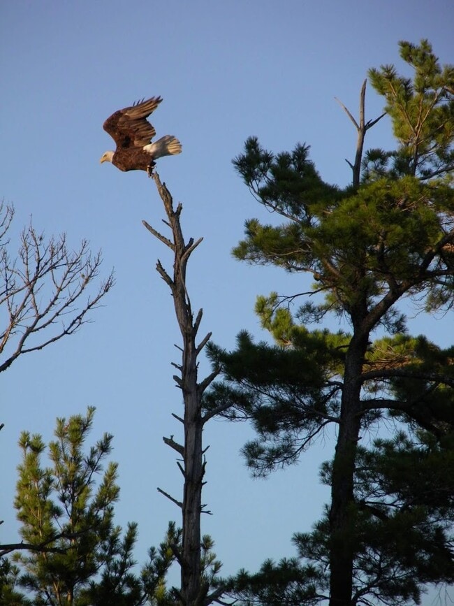 Perfect home for nature lovers… convenient access to UTV/Snowmobile trail - 4152 Satuit Ln Unit 3