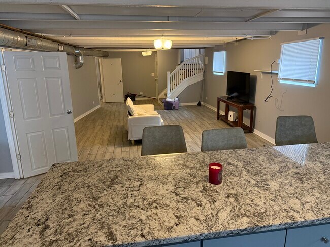 Photo - 10144 S Wood St Unidad Basement