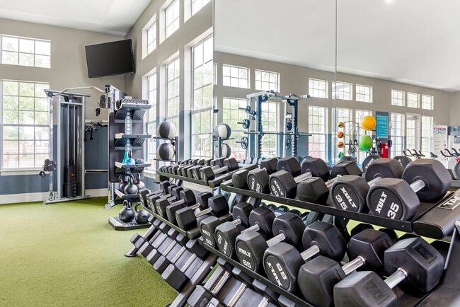 Estante de pesas - The Phoenix Orlando