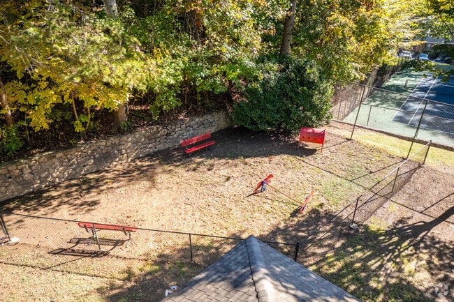 Dog Park