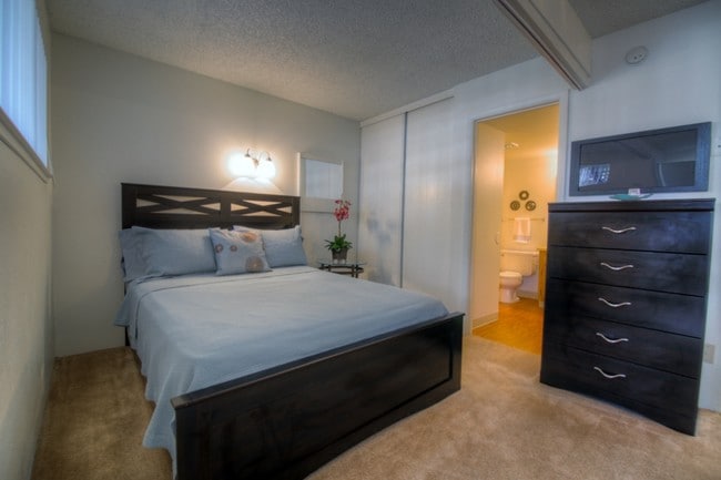 Studio Bedroom - Pine View Village Apartments