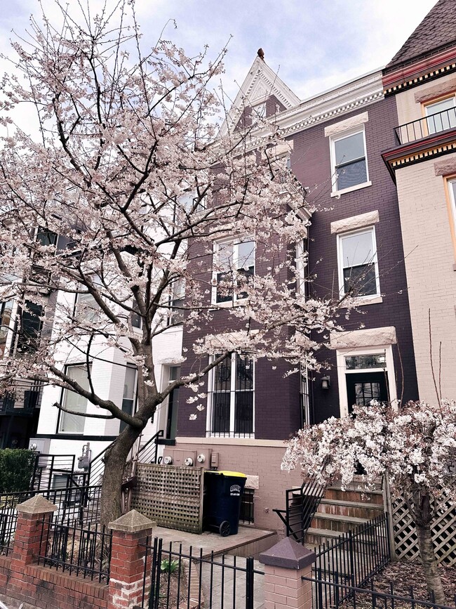 Photo - 1446 Newton St NW Apartamentos Unidad #B