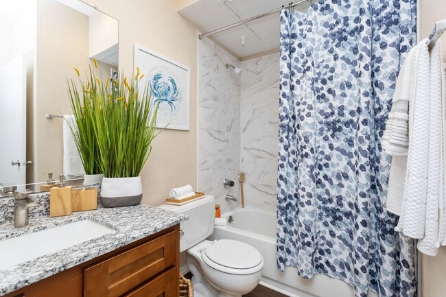 Photo - Pirates Landing