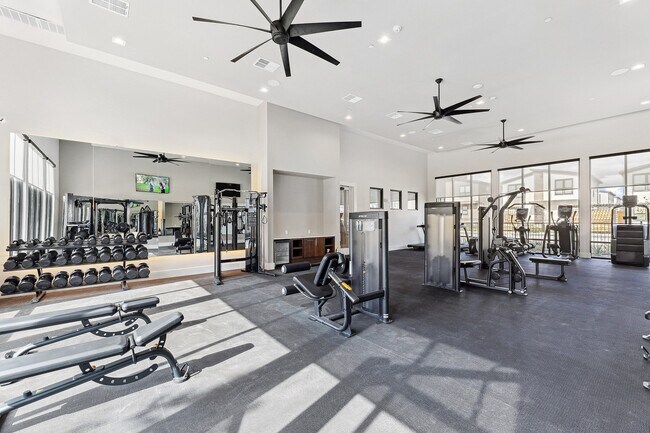 Alaro Apartments Fitness Center