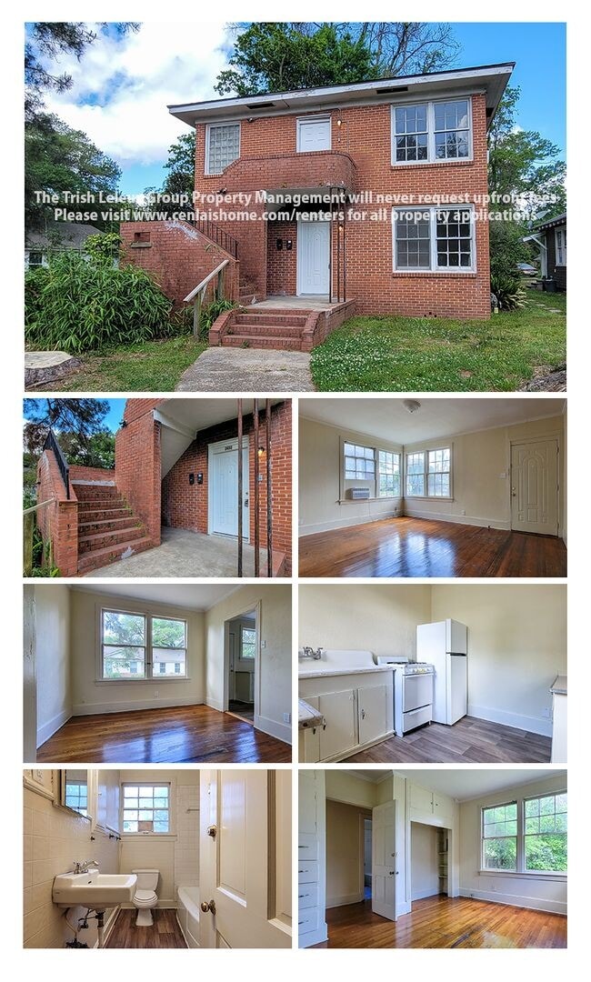 Photo - ** Large 1/1 ready now**