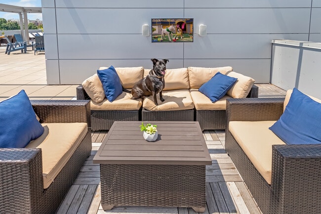 Entretenimiento en la azotea - One Dekalb