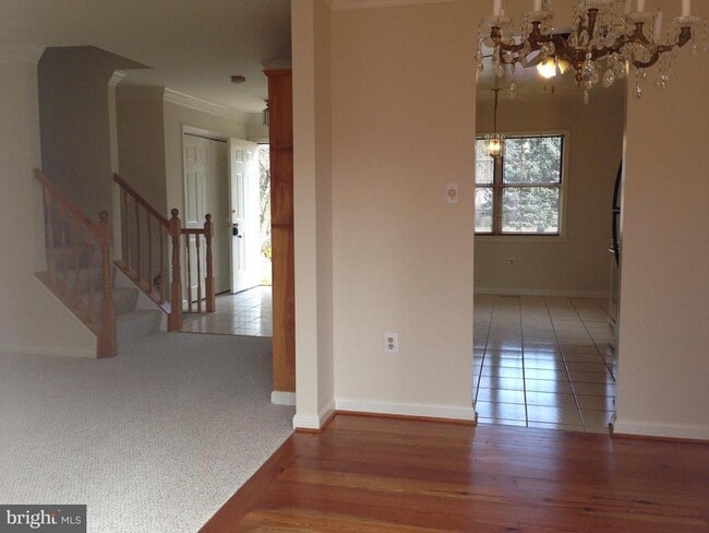 Photo - 5001 Tarpon Ln