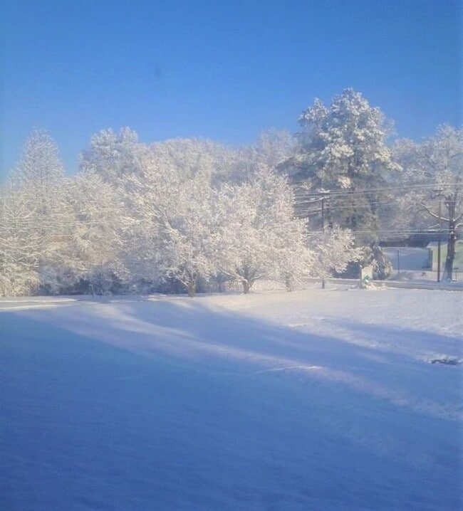 Photo - Meadowbrook Apartments