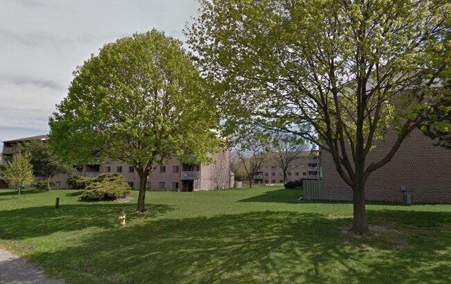 Village Court - Village Court