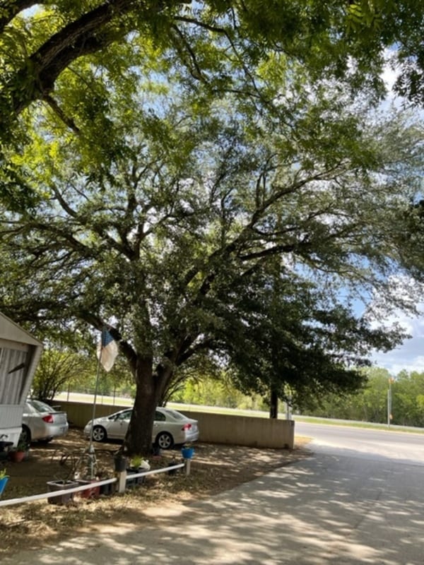 Photo - 3230 S Loop 1604 E Unidad C08