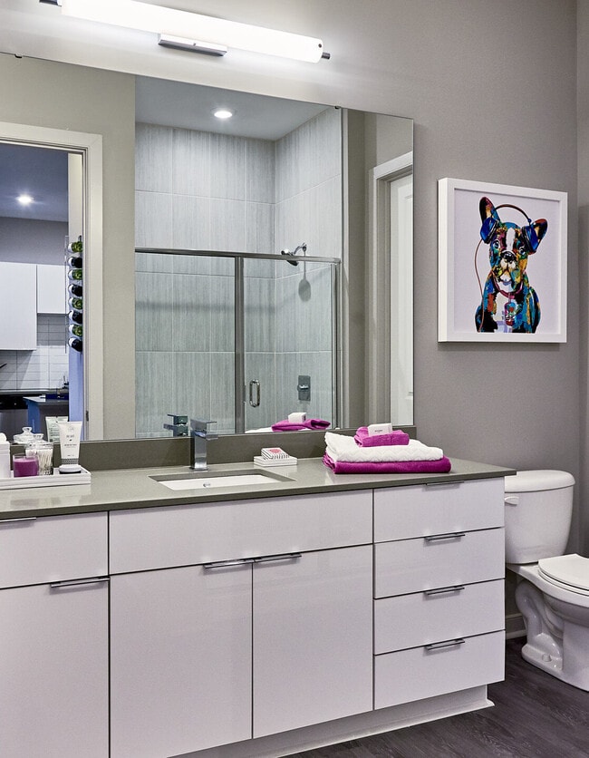 Selene at Southline Apartments
