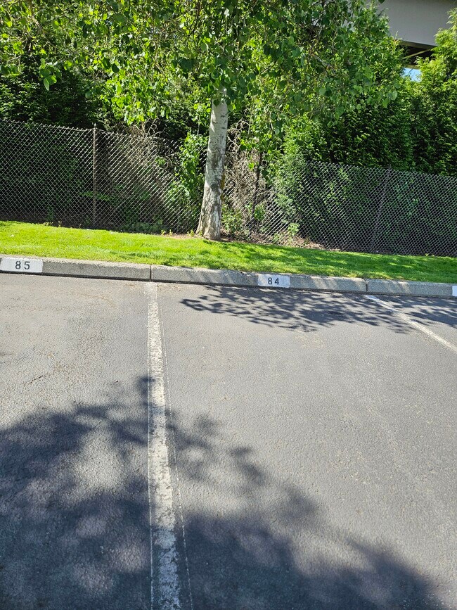 Your own parking space - 18621 Blueberry Ln Unit A311