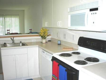 Studio - VERY spacious kitchen - Studio