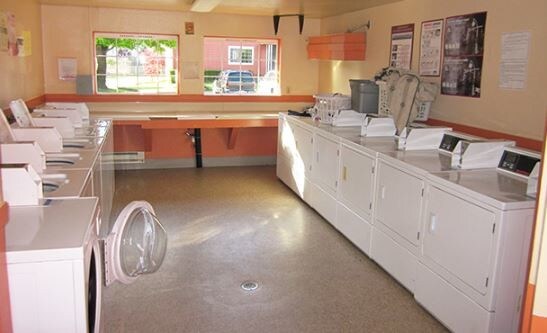 Photo - Elm Park Apartments