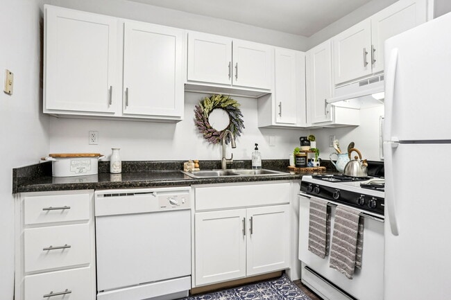 One Bedroom - Kitchen