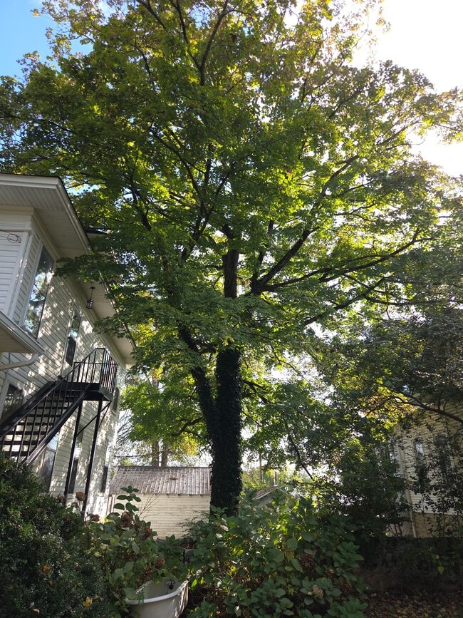 Building Photo - 403 W Flower St Unit A