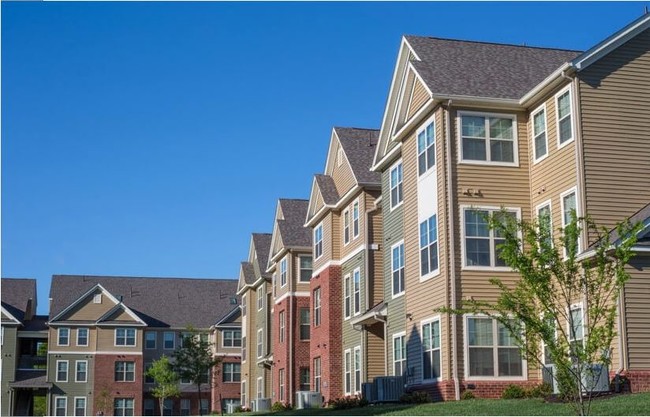 The Lofts at Jubal Square - The Lofts at Jubal Square