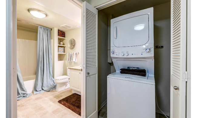 Photo - Calypso Apartments and Lofts