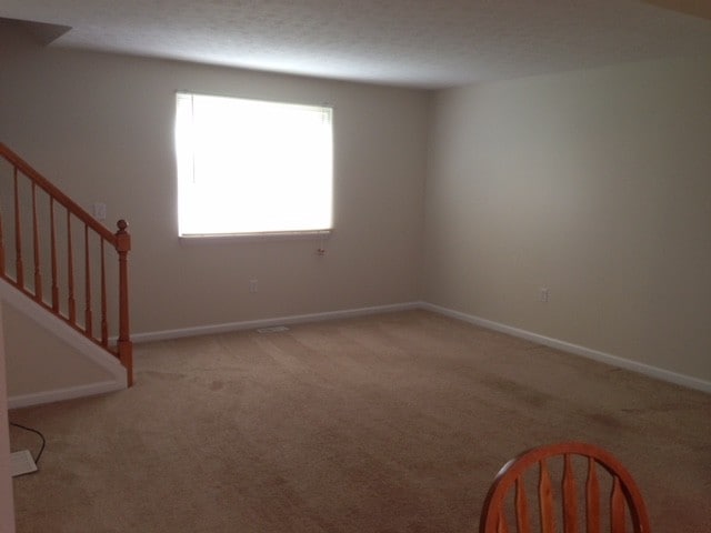 Lower level Recreation Rm. - 138 Woodlands Unit 138