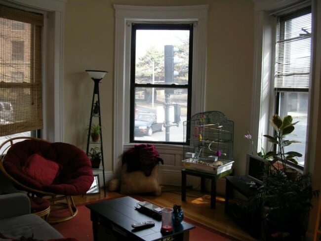 Photo - 193 Kelton St