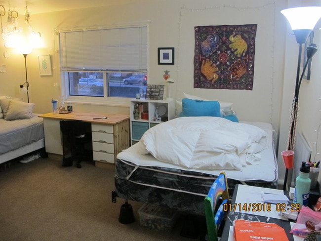 Large Bedroom - 4313 Knox Rd Apartment Unit 213