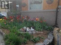 Photo - 29 Victoria St