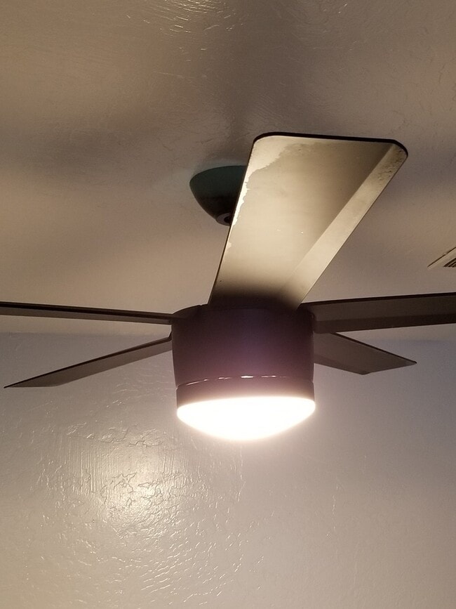 Photo - 1 BR Loft Available now