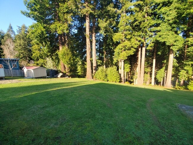 Photo - Spacious 1 bedroom with deck, wooded view & garden area. Most utilities included.