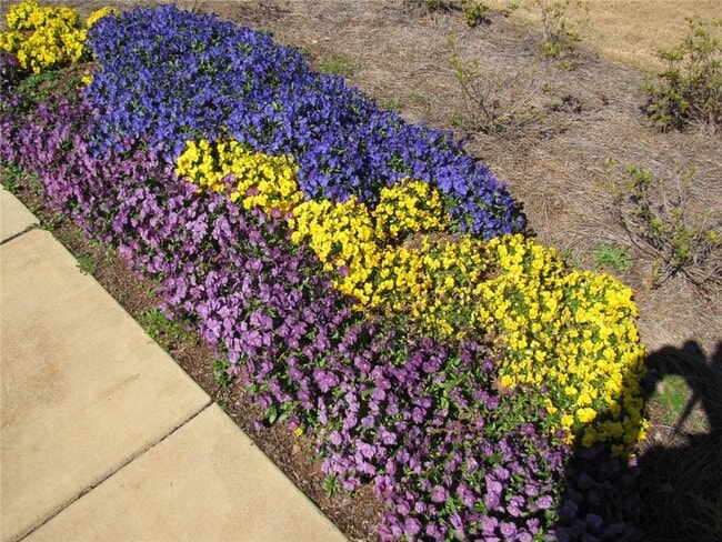 Photo - 462 Spring View Dr