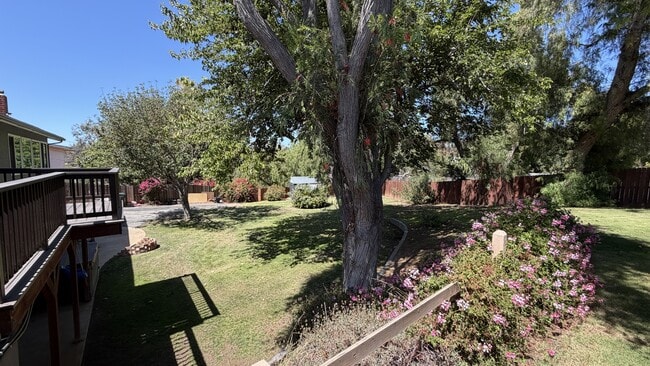 Photo - 3709 Avenida Palo Verde