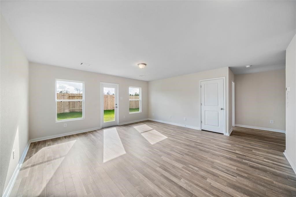 Photo - 164 Red Clover