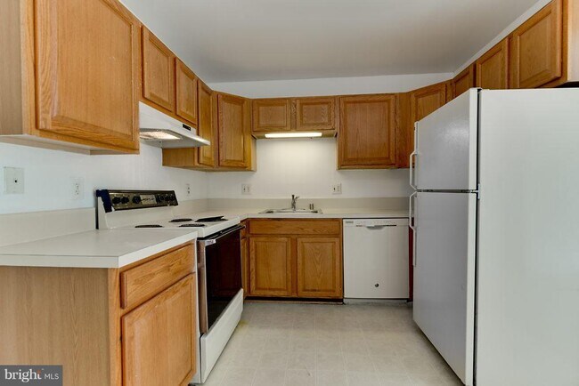 Photo - 9830 Sweet Mint Dr